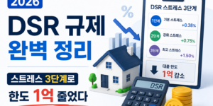 DSR 규제 - 1